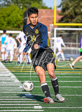 20190509-_DSC4309