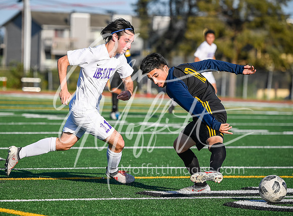 20190509-_DSC4577