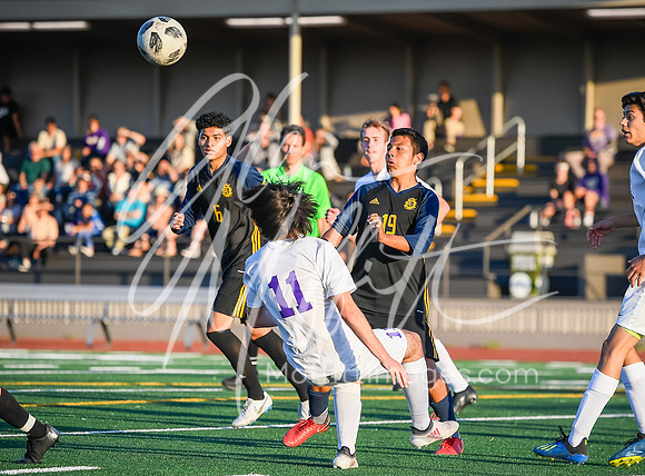 20190509-_DSC4795
