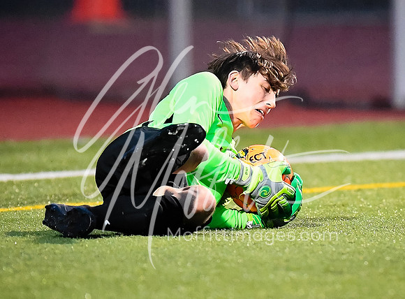 20190408-_DSC2370