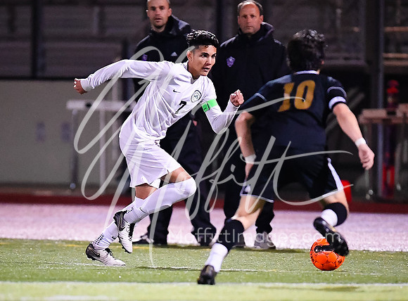 20190408-_DSC3093