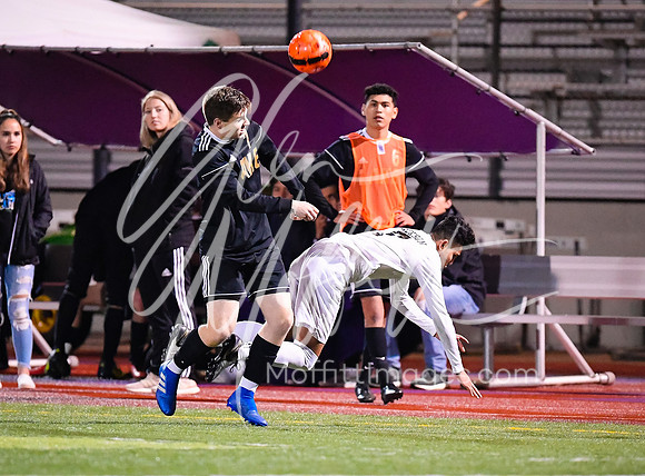 20190408-_DSC3103