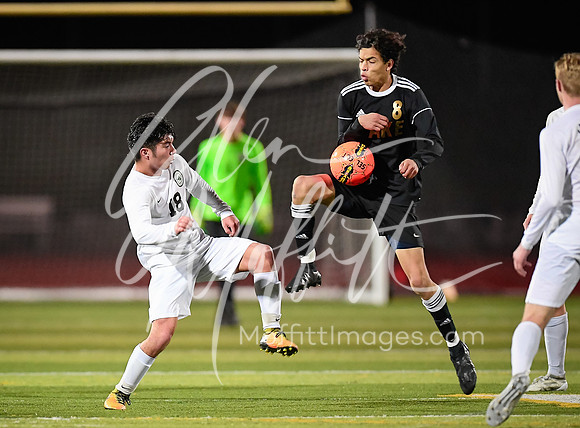20190408-_DSC3457