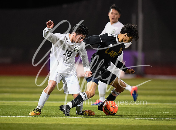 20190408-_DSC3475