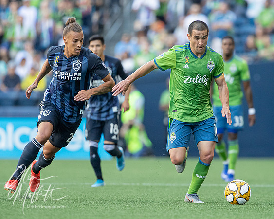 20190901-_V1I0387