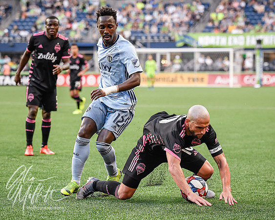 20190804-_DSC3834