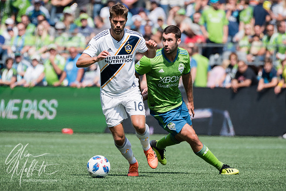 20180818-_DSC9581