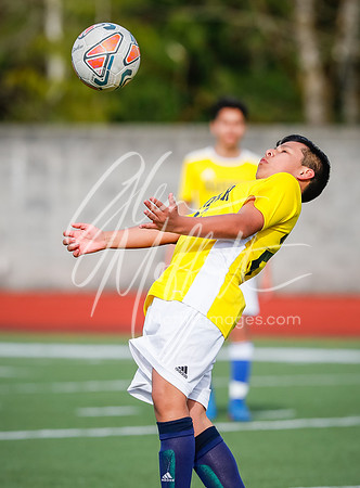 20190327-_V1I8557