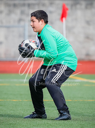 20190327-_V1I8760