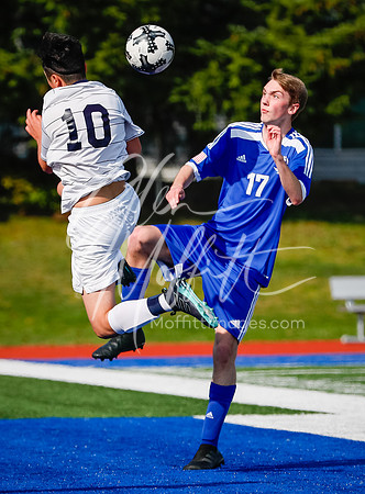 20190323-_V1I3685