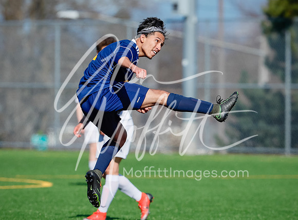 20190316-_V1I9909