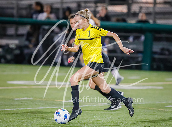 20191113-_V1I6217