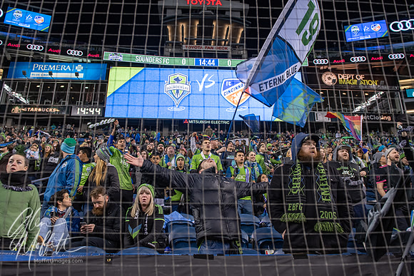 20190302-_DSC3529