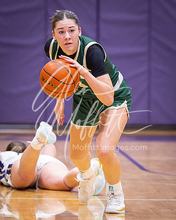 202-02-18 Redmond at Lake Stevens Girls BB Playoff_3218-20250218-DxO_DeepPRIME XD2s