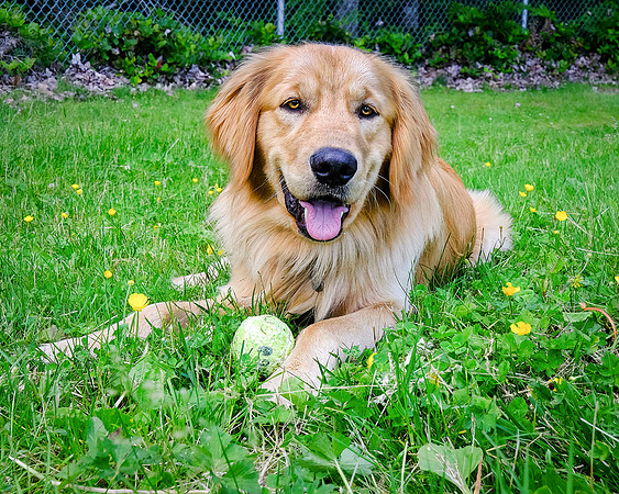 20220616-DSCF3029-Edit