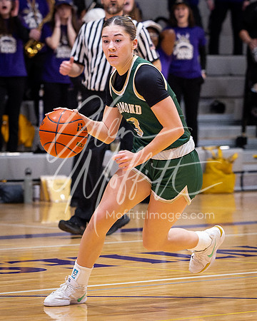 202-02-18 Redmond at Lake Stevens Girls BB Playoff_1837-20250218-DxO_DeepPRIME XD2s