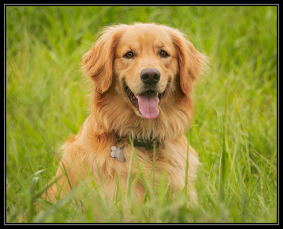 _DSF1945-RAF_DxO_DeepPRIMEXD-Edit-2-Edit