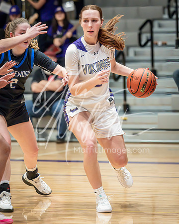 2024-12-04 Shorewood at LS Grls BB_1582-Edit
