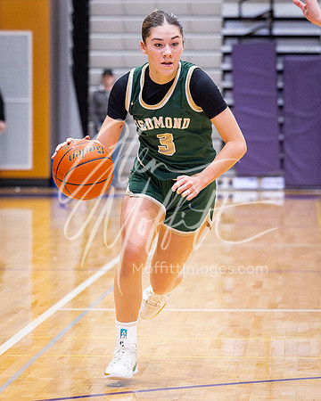 202-02-18 Redmond at Lake Stevens Girls BB Playoff_3009-20250218-DxO_DeepPRIME XD2s